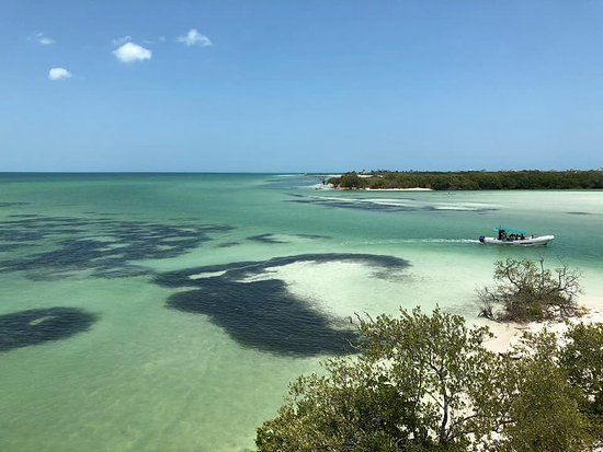 el Refugio Holbox